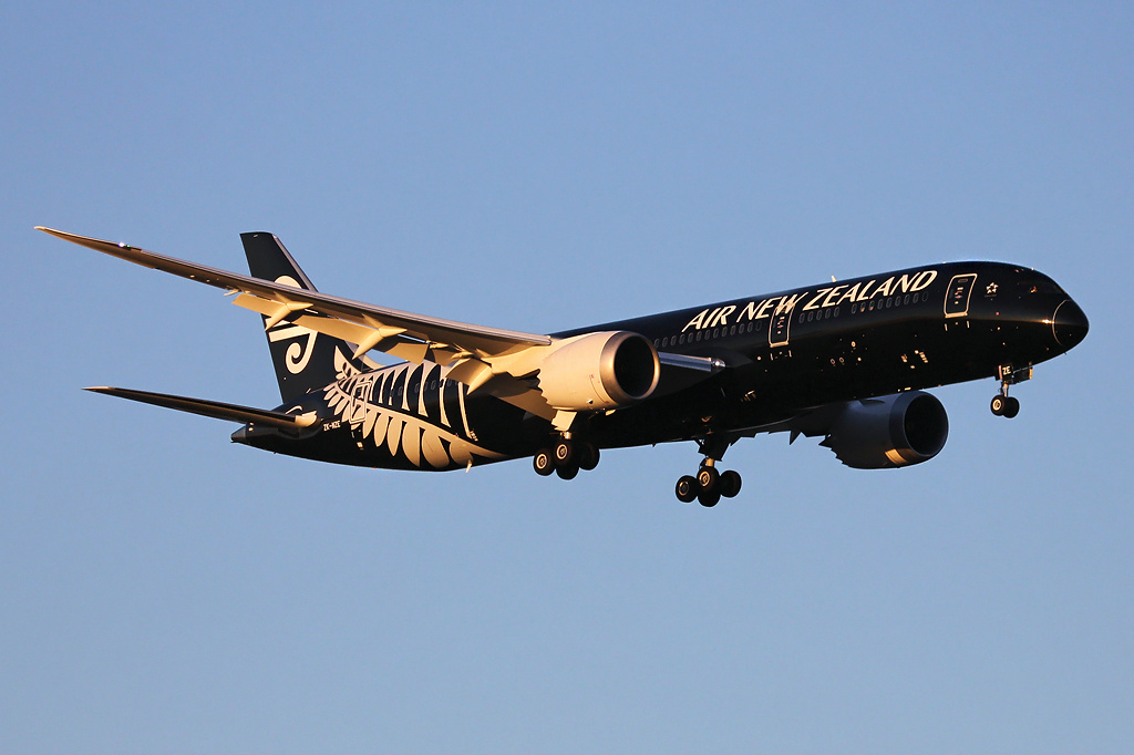 Air New Zealand Business Class review